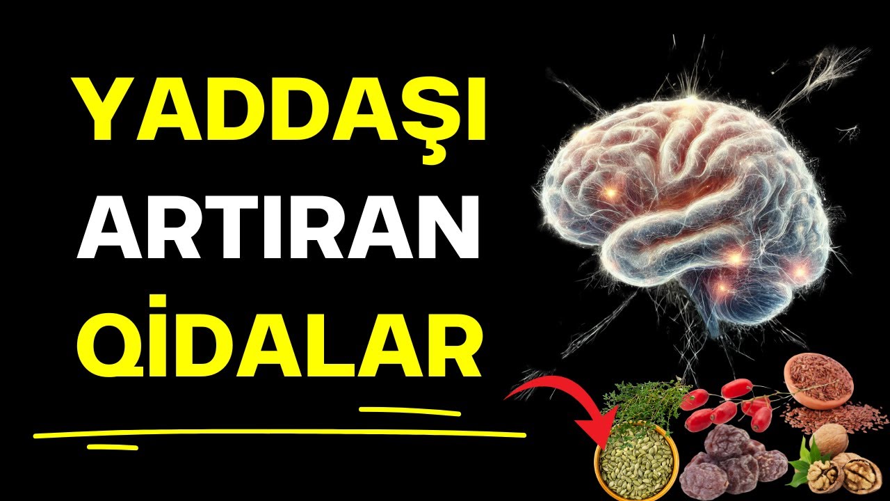 Zəka və yaddaş üçün 7 güclü beyin qidası – Əsl təbii dərmanlar
