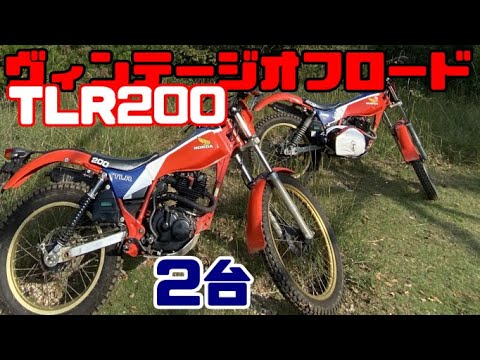 TLR200 林道初心者】TLR200 2台で林道へ - YouTube