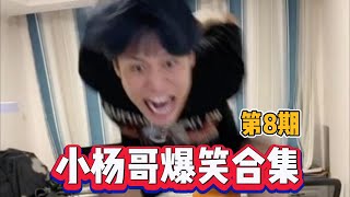 😂小杨哥爆笑合集——第8期 | Crazy Yang Hilarious Collection - Episode 8 #疯狂小杨哥