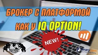 Брокер с платформой как у IQ Option! Брокер с платформой как у IQ Option!
