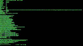 Log Replay Of An SSH Hacker In Our Sydney Kippo Honeypot