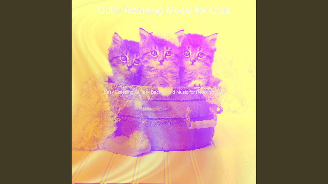 Refined Relaxing Cats