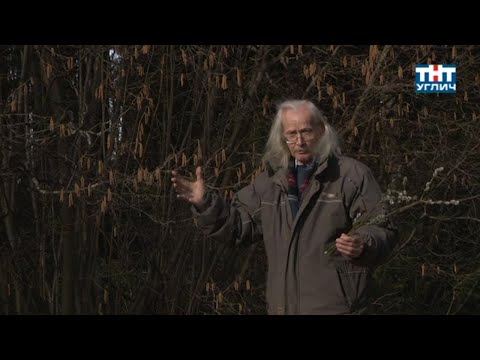 Наедине с природой.