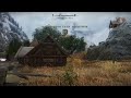 What's Skyrim without a bug or two?