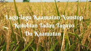 Lagu-lagu Kaamatan Dusun Kadazan paling popular (Nonstop)