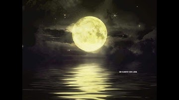 Moon Reflection On The Water| Relaxing video