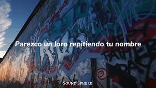 robleis x Miranda : loro 🐦 letra