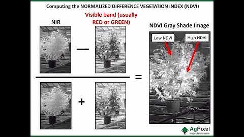 Drone Imagery for Phenotyping - Kevin Price