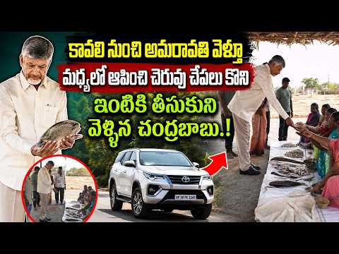 చేపల మార్కెట్కు వెళ్లి చేపలు కొన్న బాబు | CM Chandrababu Buying Fishes in Nellore Fish Market | JMP