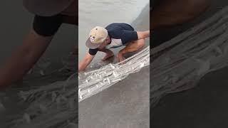 ngeri,,,sekali tebar jala dapat ikan 20kg Nets fishing