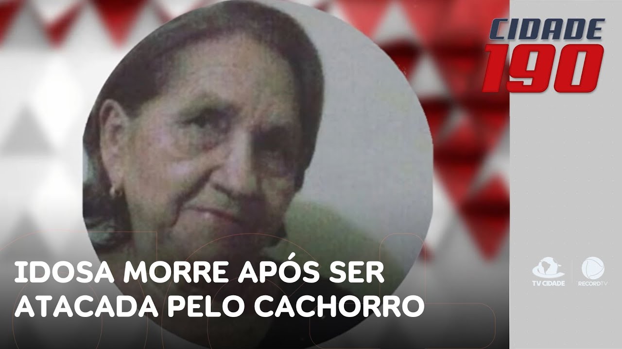 Idosa morre após sofrer queda em casa e ser atacada pelo cachorro da família | Cidade 190