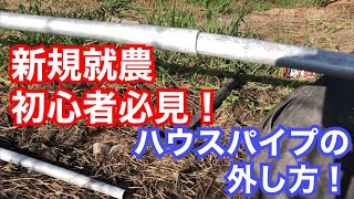 新規就農者必見！ビニールハウスパイプの抜き方