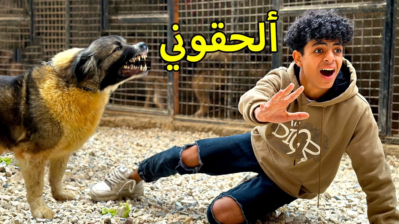 ولد يترك صديقه في قفص الكلاب الشرسة فماذا فعل ؟!