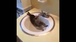 Home alone  I thought (Vine by Tyler Crocker)