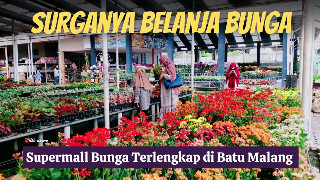KIOS BUNGA BAROKAH BATU, SUPERMALL BUNGA TERLENGKAP DI BATU - Cak Hanto