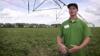 Irrigation Scheduling, Part 2: Methods of monitoring soil moisture