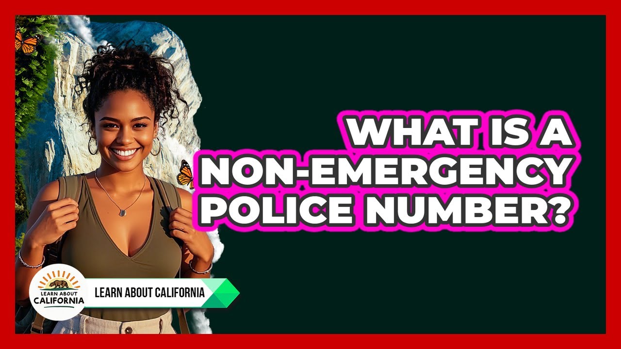 What Is a Non-Emergency Police Number?