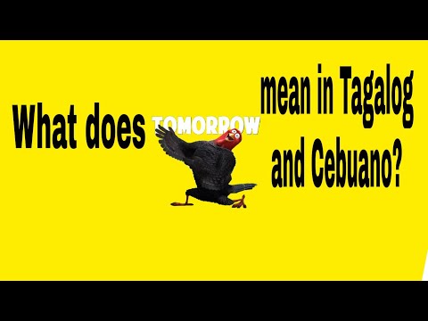 ENGLISH TO FILIPINO: TOMORROW I TAGALOG +  CEBUANO TRANSLATION
