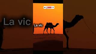 La victoire dépend de ça  #victoire #discipline #citation #motivation #midset #prièredumatin