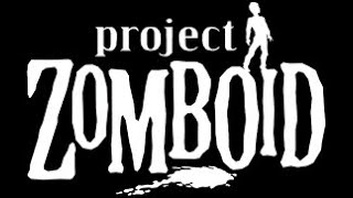 Project Zomboid 1St Way To Gain Admin Access On Your Nitrado Server Easy