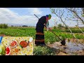 Morning to evening routine  daily routine village life in iran nature traditional