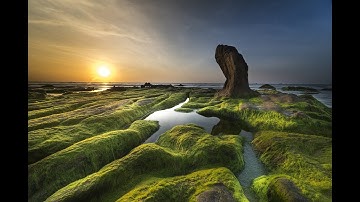 سورة النحل القارئ حمزة مدبوح The Koran is a beautiful voice تلاوة رائعة تهتز لها القلوب