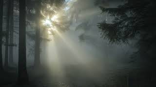 Grace Grief & Gratitude: A Guided Shamanic Sound Journey Ceremony