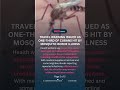 🦟 Travel alert: Mosquito-borne illnesses surge in Cuba #health #mosquito #cuba #travel
