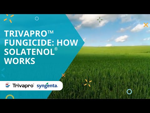 Video: Fungicide 