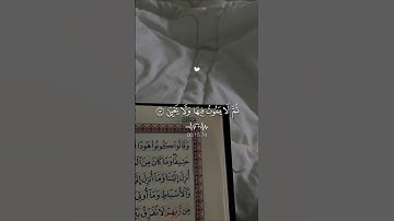 تلاوة تهز القلوب… ارح قلبك 😴♡| #قرآن #تلاوة_خاشعة #ماهر_المعيقلي #راحة_نفسية #تابعوني #اكسبلور #لايك