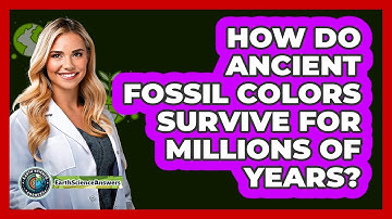 How Do Ancient Fossil Colors Survive For Millions Of Years? - Earth Science Answers