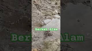 tanda tanda sumur bor berhasil||  cara deteksi sumber air #shorts #teknik #tukang