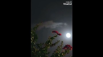 { أتى أمرُ الله فلا تستعجلوه } 🌹 تلاوه رائعه من سوره النحل