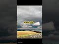 الفنان فتى تيماء الفنان فتى تيماء