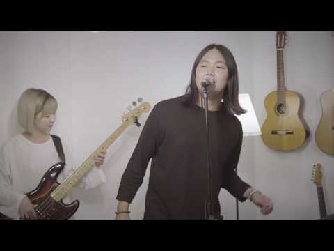 네덜란드 튤립 농장 - 바빠 | 스톤키즈