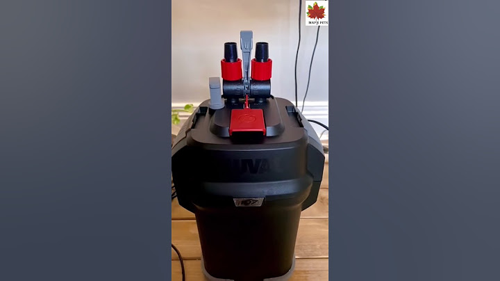 Fluval 107 Filter #fluval #madeinitaly #bestfilter #canisterfilter #premiumproduct #107filter