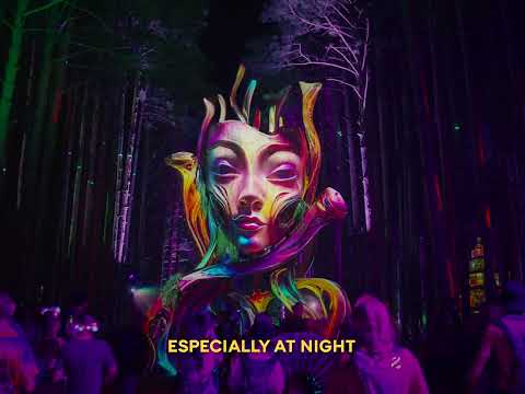 You Belong in The Forest 💚