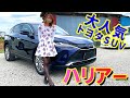 【トヨタ・ハリアー】王道SUV！ハイブリッドモデルを紹介！TOYOTA HARRIER【車紹介】