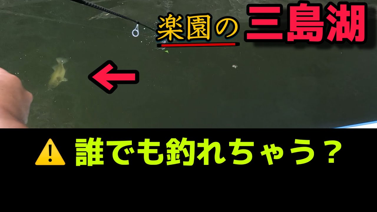 誰でも釣れちゃう？楽園の三島湖に行ってきました。千葉県房総バス釣り場　