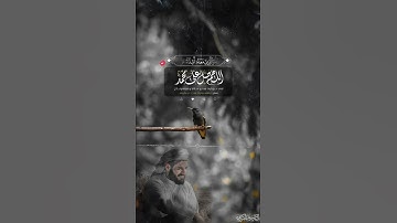 ﴿مُحَمَّدٌ رَسولُ اللَّهِ وَالَّذينَ مَعَهُ أَشِدّاءُ|| تلاوة خاشعة من القارئ رعد الكردي