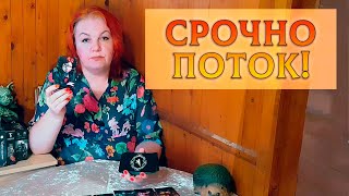 СРОЧНАЯ ИНФОРМАЦИЯ ИЗ ПОТОКА! УСЛЫШЬ СЕЙЧАС!