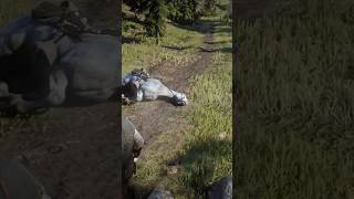 RDR2 classic rockstar timing #rdr2 #rdr #rdr2gameplay #timing g