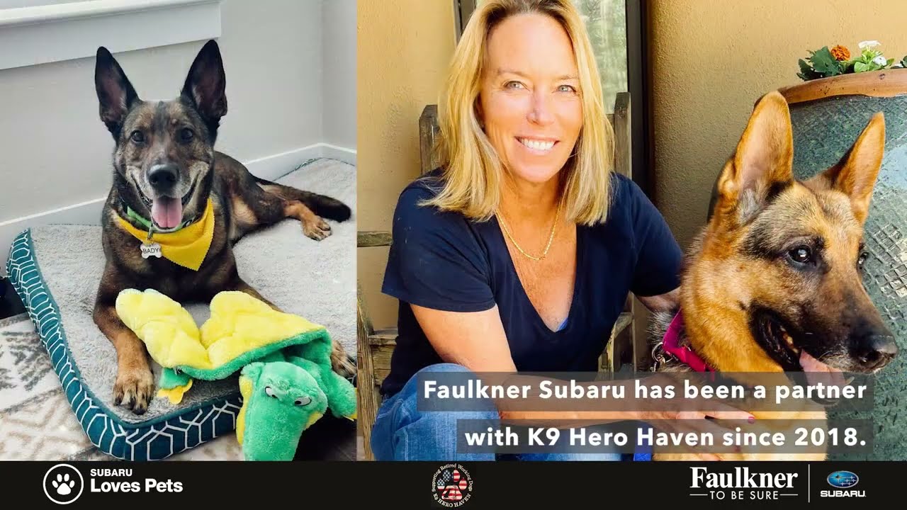 K9 Hero Haven YouTube