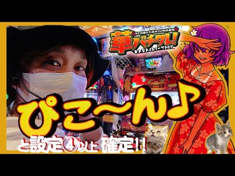The Royal Okinawa Slot Game] Oki Doki! DUO ~ ◎ A one-shot