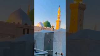 masjid e nabi❤️❣️Ridjaal ahmed recitarion#lone_salma_official#10k #viralclip #allahuakbar