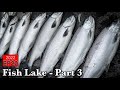 The secrets of catching big kokanee at fish lake  ep20 2022 kokanee tour of utah