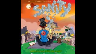 Sanity Riddim - [Forever] / Aaron Silk,Jah Wyz,Vysionaer,Earth Tremma,Paul Murray,Giddimani,Darrio
