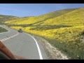 Carrizo Plain Field Trip