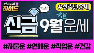 9월 운세 신금 결정장애 유발? 일간별 무료운세 | 연애운 | 재물운 | 정유월 | 신축년 | 타로 | 사주…