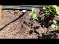 I have had this a while now still works great!Plant &amp; Plot Galvanized Raised Garden Beds Outdoor